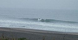 141112eagle1.jpg