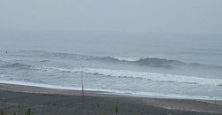 141112eagle2.jpg