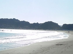 141113taito2.jpg
