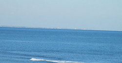 141115eagle1.jpg