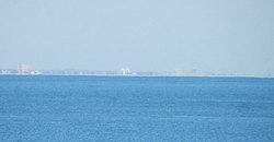 141115eagle3.jpg