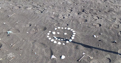 141123am-beachclean1.jpg