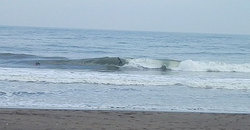 141124-1020eagle3.jpg