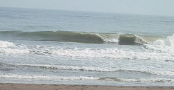 141124-1020eagle4.jpg