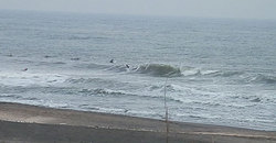 141124-940eagle1.jpg