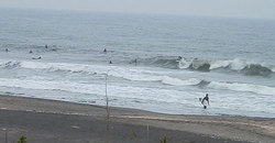 141124-940eagle3.jpg