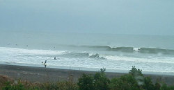 141129-1255eagle1.jpg