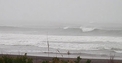 141129-830eagle2.jpg