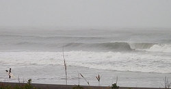 141129-830eagle3.jpg