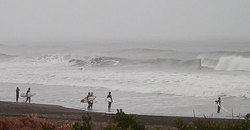 141129-830eagle4.jpg