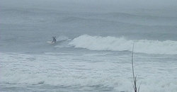 141129-830eagle5.jpg