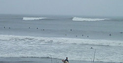 141129-830eagle6.jpg