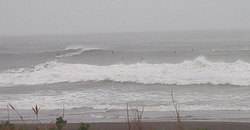 141129-830eagle7.jpg