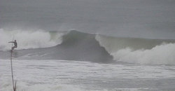 141129-830eagle8.jpg