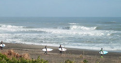 141130-855eagle.jpg