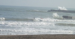 141130-855taito1.jpg