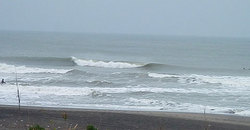 141201am840-eagle1.jpg