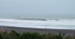 141201am840-eagle2.jpg