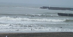 141201am840-taito1.jpg