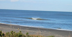 141202-1420eagle1.jpg