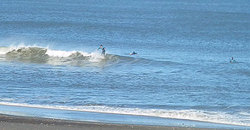 141202-1420eagle2.jpg