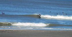 141202-1420taito2.jpg
