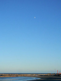 141202-pmtaito-veiw1.jpg