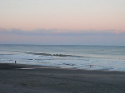 141202-pmtaito-veiw3.jpg