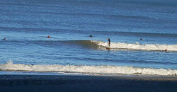 141202-pmtaito1.jpg