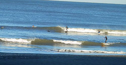 141202-pmtaito3.jpg