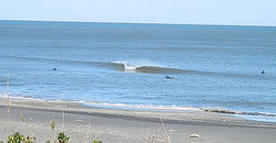 141203eagle1.jpg