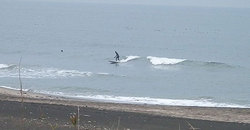 141216eagle2.jpg