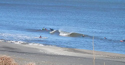 141217eagle1.jpg