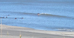141217eagle2.jpg