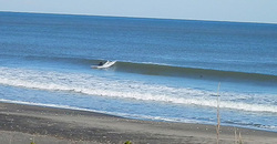 141222-1205eagle1.jpg