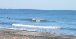 141222-1205eagle2.jpg