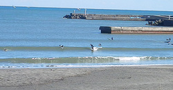 141222-1205taito.jpg