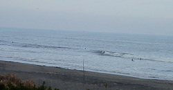 141228-1230eagle.jpg