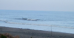 141228-1230eagle1.jpg