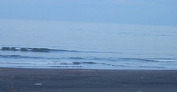 141228-1620taito4.jpg