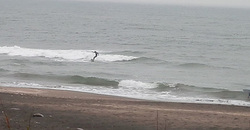 141229eagle1.jpg