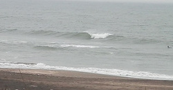 141229eagle2.jpg