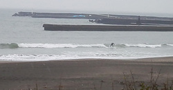 141229taito1.jpg