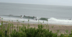 090729am-eagle1.jpg