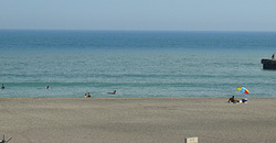 100901taito1.jpg