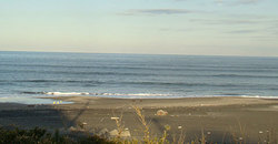 110118pm-eagle2.jpg