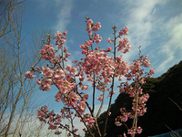 t110404br.jpg