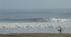 gusto-1206-1.jpg