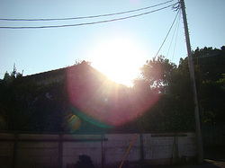 t1106212afternoonsun.jpg
