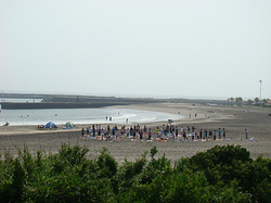 t110703beach.jpg
